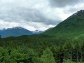 Kenai Vista