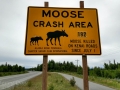 Moose Crash Area (Moose Kills Since July 1, 2017)