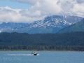 Resurrection Bay Vista