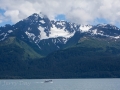 Resurrection Bay Vista