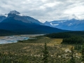 Jasper NP - Icefields Pkwy - Mountain Vista