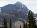 Jasper NP - Icefields Pkwy - Mountain Vista