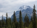 Jasper NP - Icefields Pkwy - Mountain Vista