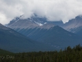 Jasper NP - Icefields Pkwy - Mountain Vista