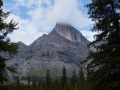 Jasper NP - Icefields Pkwy - Mountain Vista