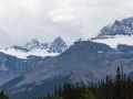 Jasper NP - Icefields Pkwy - Mountain Vista