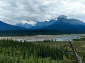 Jasper NP - Icefields Pkwy - Mountain Vista