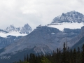 Jasper NP - Icefields Pkwy - Mountain Vista