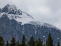 Jasper NP - Icefields Pkwy - Mountain Vista
