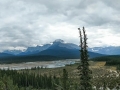 Jasper NP - Icefields Pkwy - Mountain Vista