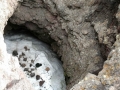 Snow Cone - snow inside one of the spatter cones - Craters of the Moon National Monument