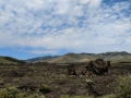 Craters of the Moon National Monument Vista