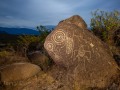 Bird Panel - Three Rivers Petroglyph Site