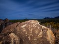 Lizard Panel - Three Rivers Petroglyph Site