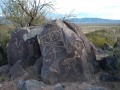 Rock Art - Three Rivers Petroglyph Site