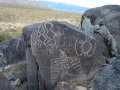 Rock Art - Three Rivers Petroglyph Site