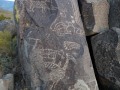 Rock Art - Three Rivers Petroglyph Site