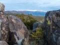 Rock Art - Three Rivers Petroglyph Site