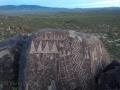 Rock Art - Three Rivers Petroglyph Site