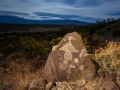 Rock Art - Three Rivers Petroglyph Site