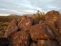 Rock Art - Three Rivers Petroglyph Site