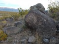 Rock Art - Three Rivers Petroglyph Site