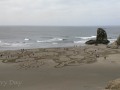 Bandon Beach - Circles in the Sand