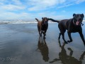 Bandon Beach - Happy, happy, happy!