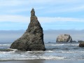 Bandon Beach - Sea Gull on Rock Spire