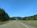 On the road to Bandon - Scenic highway OR-42