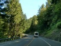 On the road to Bandon - Scenic highway OR-42