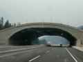 Banff NP - Trans-Canada Highway Wildlife Corridor Overpass