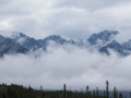 Banff NP - Mountain Vista