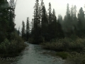 Banff NP - At Lake Louise