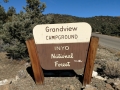 Grandview Campground - Ancient Bristlecone Pine Forest