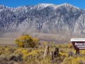 Horton Creek BLM Campground