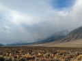 Vista view from our campsite at Horton Creek BLM Campground