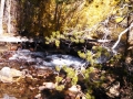 Stream below Lake Sabrina