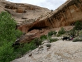 Kim & the pups at Monarch Cave