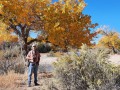 Jerry & Fall Cottonwoods - Bluff, Utah