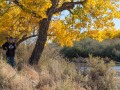 Kim & Fall Cottonwoods - Bluff, Utah