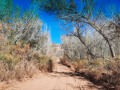 Montezuma Creek Canyon - Utah