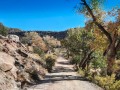 Montezuma Creek Canyon - Utah