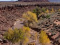 Autumn in the Valley of the Gods - Bears Ears National Monument, Utah