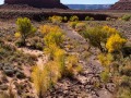 Autumn in the Valley of the Gods - Bears Ears National Monument, Utah