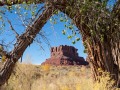 Autumn in the Valley of the Gods - Bears Ears National Monument, Utah