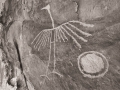 Big Crane Petroglyph