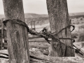 Old Corral Barbed Wire