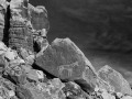 Horse Petroglyphs - Bluff, Utah