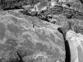 Horse Petroglyphs - Bluff, Utah